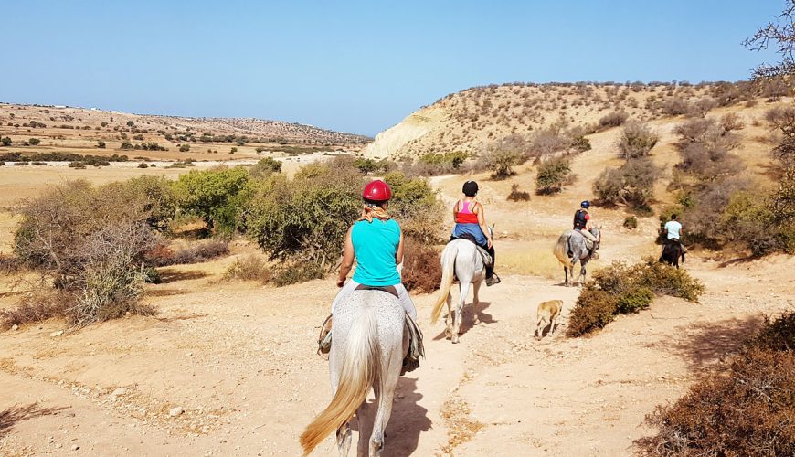 Horse Riding